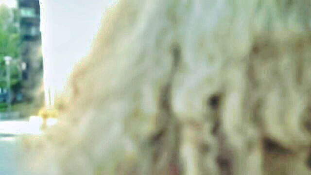 agatha vega - european anal sex