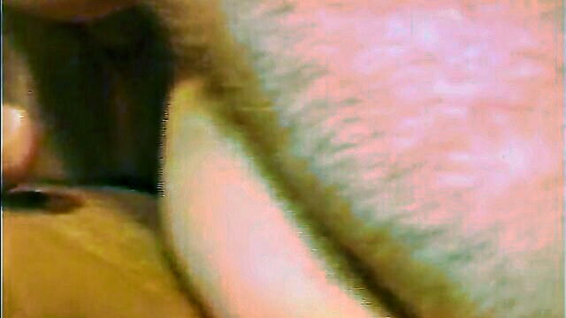 Larissa Gold - german retro video of 18 year old hardcore anal and birthday gift appreciation LetsGoDirty