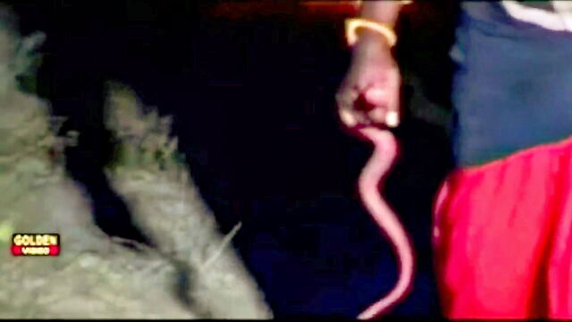 movie, telugu, night - telugu video super hot
