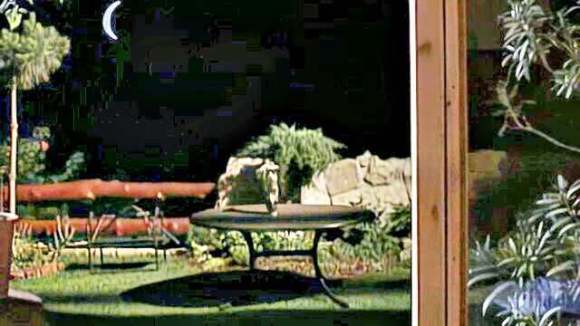 Jordan Maze, Wanda Curtis, Cassandra Wilde, Monica Cameron, Steve Holmes, Nick Lang - cassandra wilde sex machine