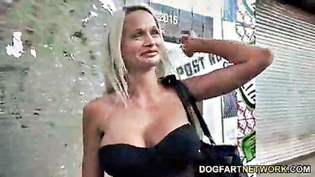 cindy sun dp scene : Dogfart Network