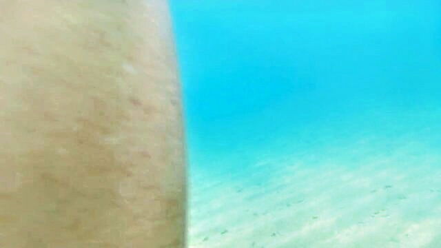 luna pleasuring herself underwater before getting penetrated at a nude beach in fréjus : Sheer