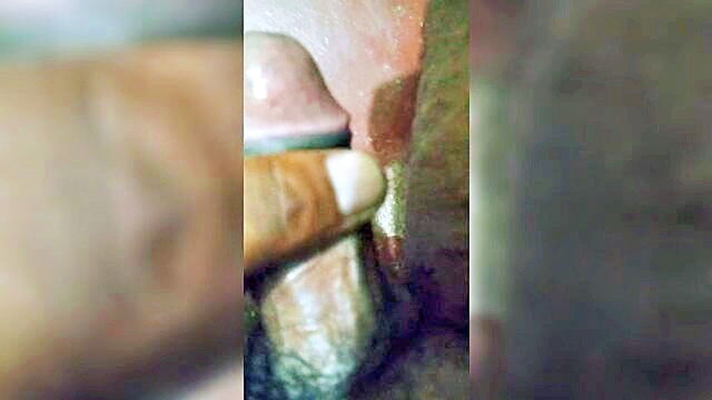 young woman discovers love for sex through dog training video : lovesexdhwe