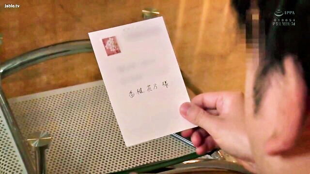 Eli - tw6627外約
