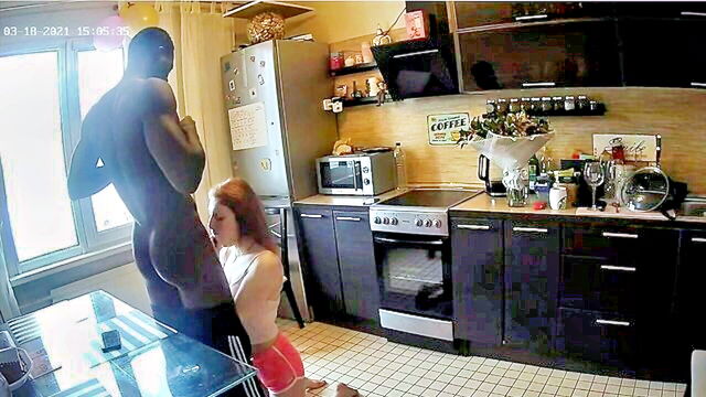 Alien Fox - alien fox webcam Voyeur House