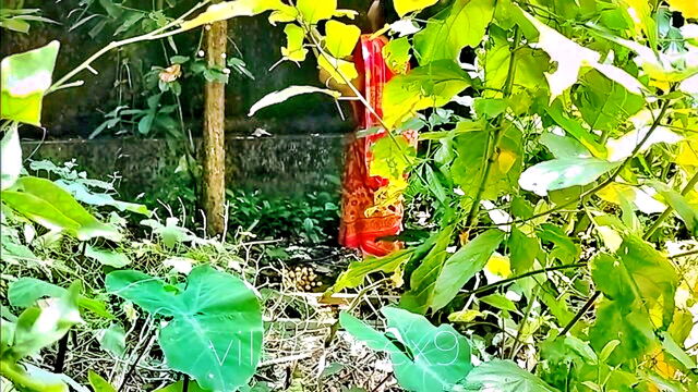 Villagesex91 - indian bhabhi outdoor sex