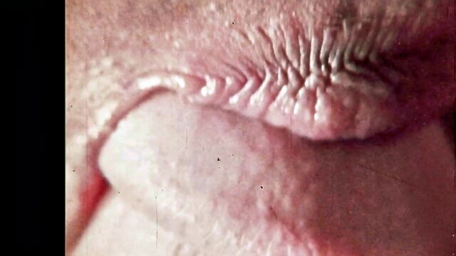 punishment pony porn video : Vinegar Syndrom