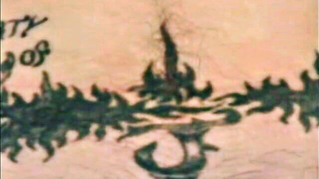 cjxxx jacking off : CJxxx