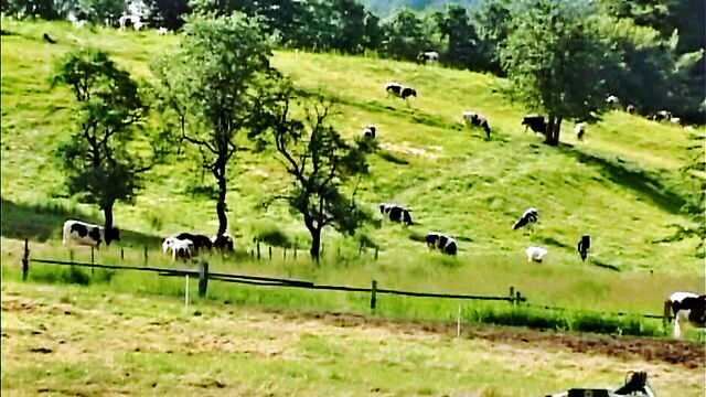 milena velba - milf lactating big tits