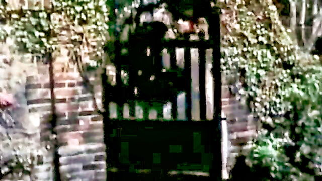 vintage porn video : Color Climax