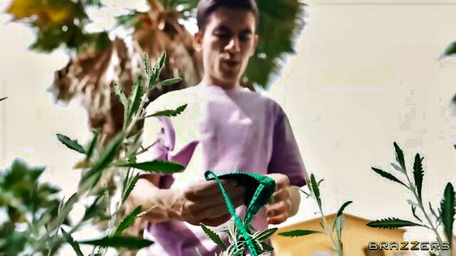 sapphire astrea - sapphire astrea outdoor sex