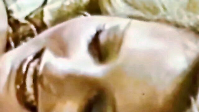 vintage blowjob porn : Collection Film