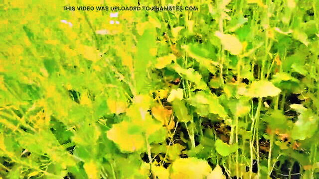 bhabhi indian big boobs, bangladeshi sex, bhabhi desi - hot indian girl sex video