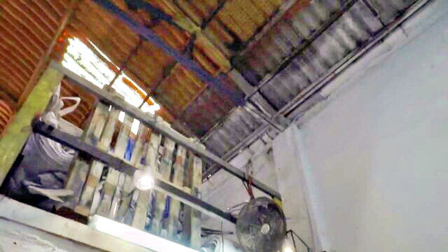 susy gala - susan gala perfect body