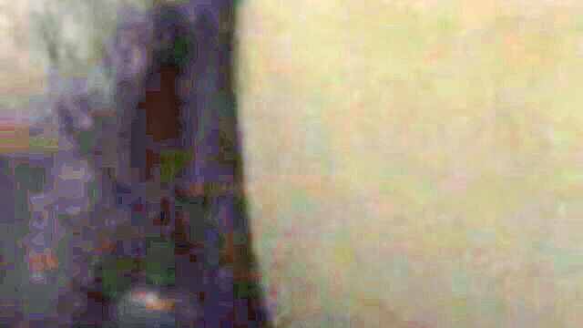 indian couple having sex