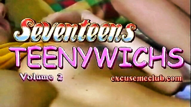 teeny wichserinnen 02 : Seventeen