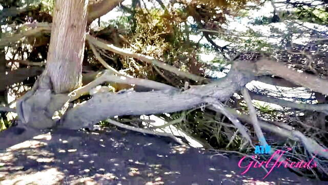 serena hill - serena hill public