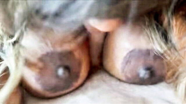 tiamaria - tia maria thicc ass