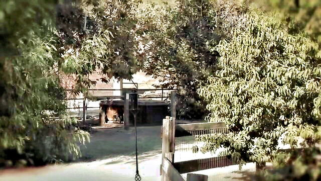 amber lynn bach, amber lynn - amber lynn bach solo