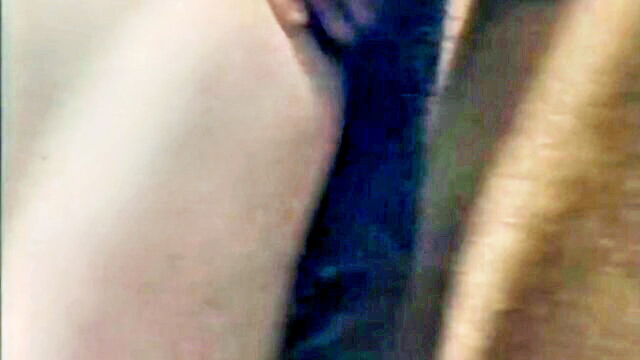 tracey adams - tracey adams 4k ultra hd