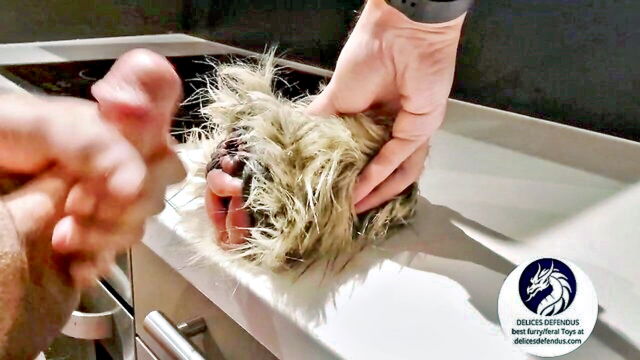 uncategorized, amateur, homemade - furry sex toy anal