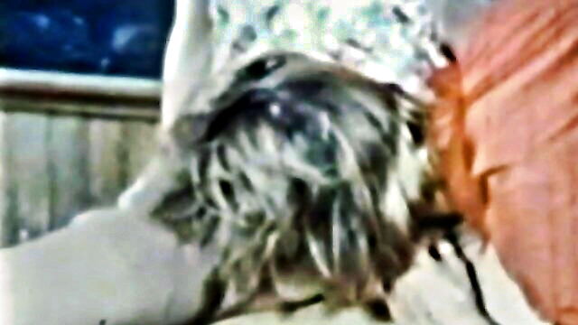 oz films 52 cunnilingus