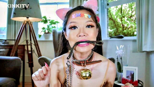 petgirls, chan, stage - wan chan petgirls