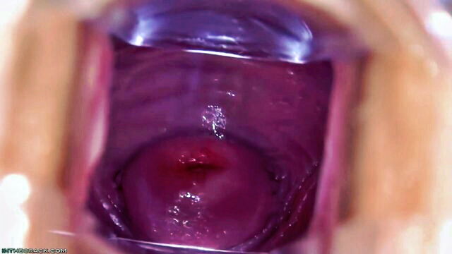 foxy di - foxy di angel