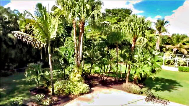 Crystal Rush - crystal rush vacation fuck