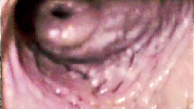 explore the intimate details of vaginal penetration   a comprehensive sex guide : meserie