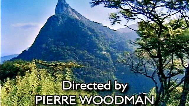 Caroline Cage, Suzan Nielsen, Inga Ridere, Ian Scott, Bob Terminator - bob terminators erotic adventure with lascivious maverick caroline cage
