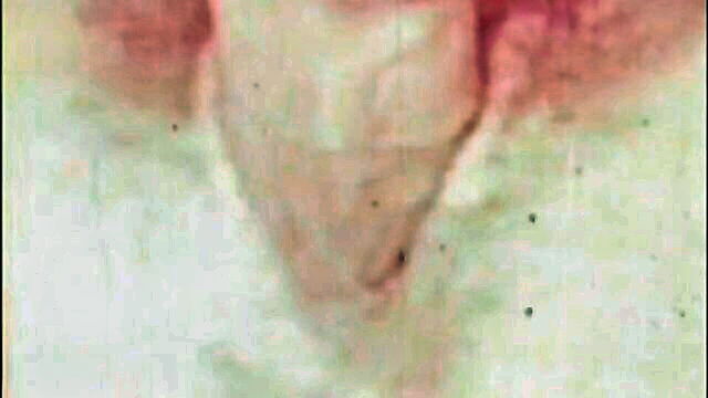 french maid xxx movie