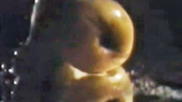 adam and yves blowjob : Bijou Video