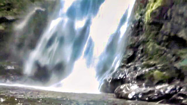 tera patrick - tera patrick island