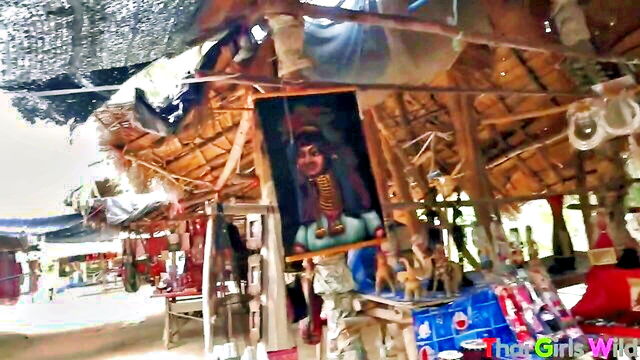 hardcore, teen, amateur - daisy thaigirlswild