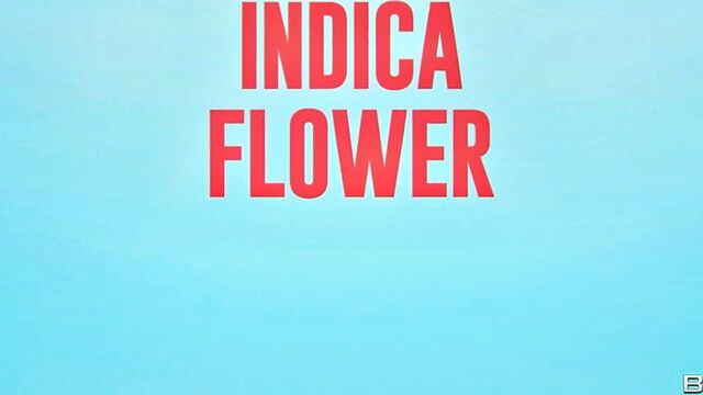 lucy foxx, indica flower - brazzers extra big tits
