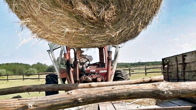 outdoor anal sex video