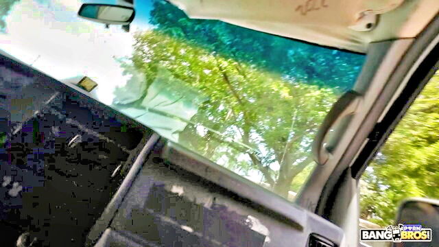 trixi brooks - trixi brooks ass cream bangbus