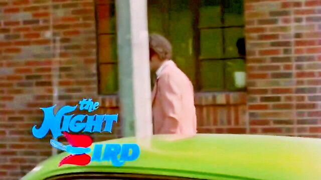 uncensored vintage sex movies : Blue Video Productions