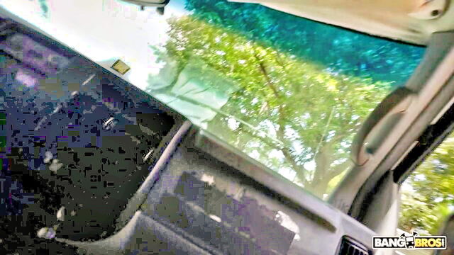 don sudan - bangbus aphrodisiac ass cream