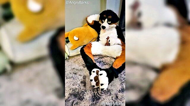 AngryBarks - fumblemaster banger bark