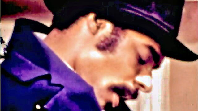 maid back door classic