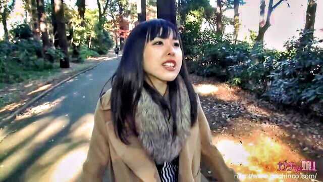 amateur - gachip274 amateur