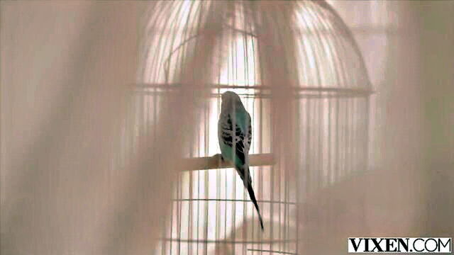 porn compilation with freya mayr