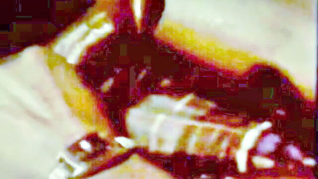 vintage white chick interracial