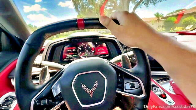 vivian taylor - vivian taylor rules