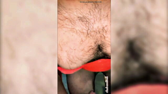 gordito, gay bear, princesa - gordito prince gay