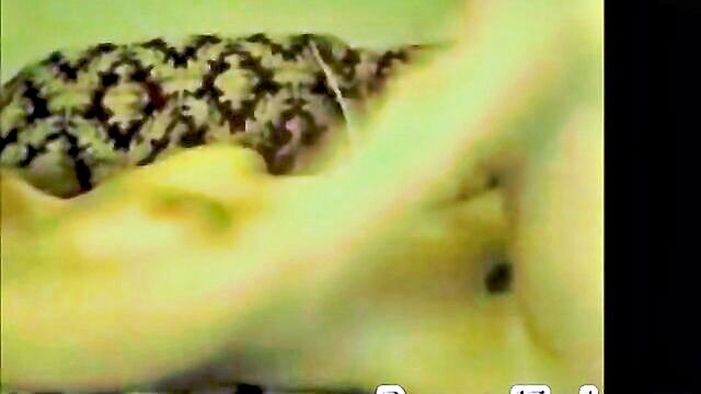 blonde and bruneet amateur babes pleasure themselves on camera