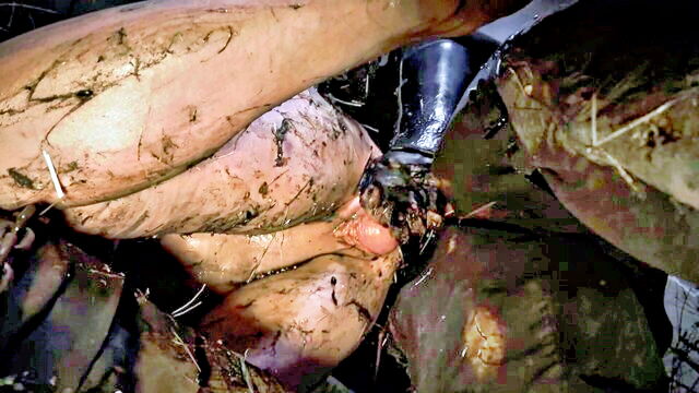anal, horror porn, prolapse - prolapshorrorlordpeckerclaw