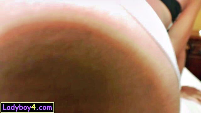 tiny thai ladyboy fucked
